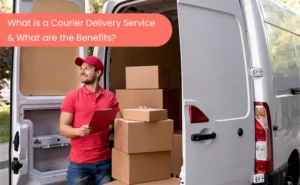 Delivery person holding a package as part of a courier delivery service.